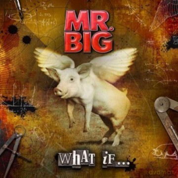 Mr.Big: What If Lp [Winyl]