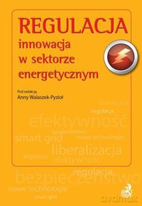 Regulacja [KSIĄŻKA]