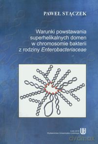 Warunki powstania superhelikalnych domen w chromosomie bakterii z rodziny Enterobacteriaceae - Paweł Stączek [KSIĄŻKA]