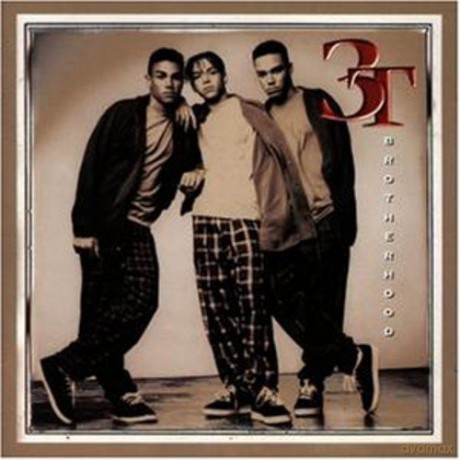 3t: Brotherhood [CD]