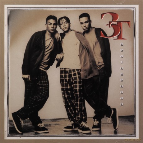 3t: Brotherhood [CD]