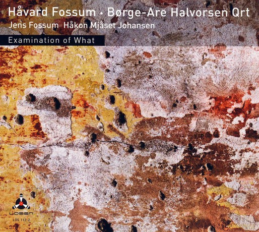 Harvard Fossum: Examination of What [CD]