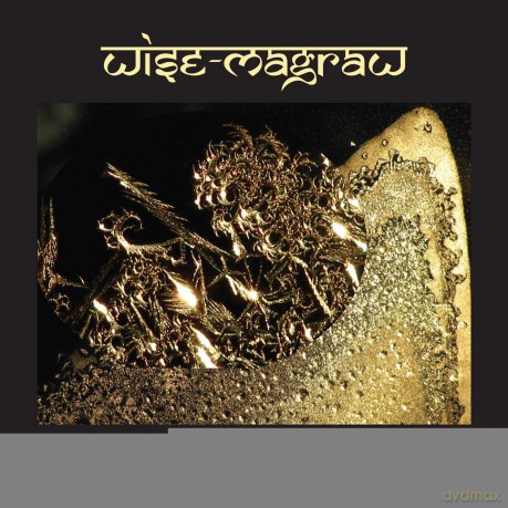 Wise-Magraw: How The Light Gets In [CD]