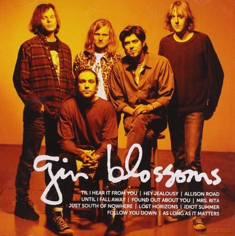 Gin Blossoms: Icon [CD]