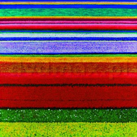 City And Colour: Little Hell Limited Edition [CD]+[DVD]