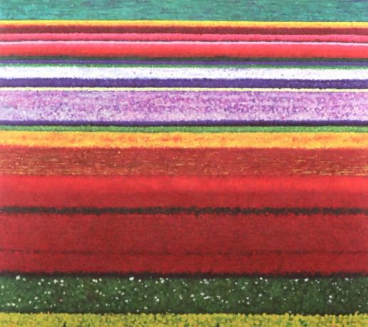 City And Colour: Little Hell Limited Edition [CD]+[DVD]