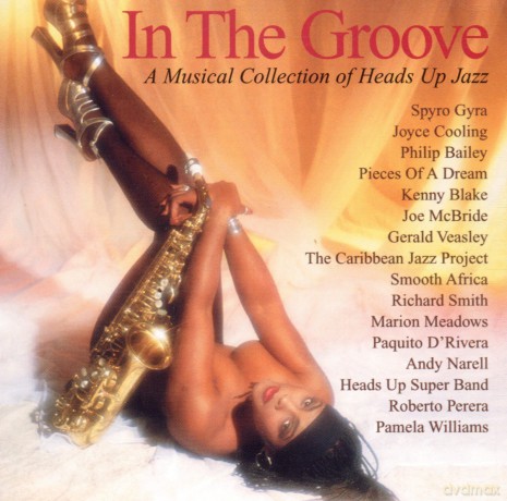 In the Groove, vol. 1 [CD]