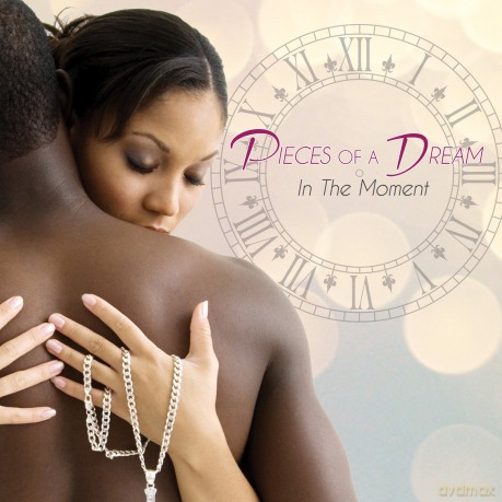 Pieces Of A Dream: In The Moment [CD]