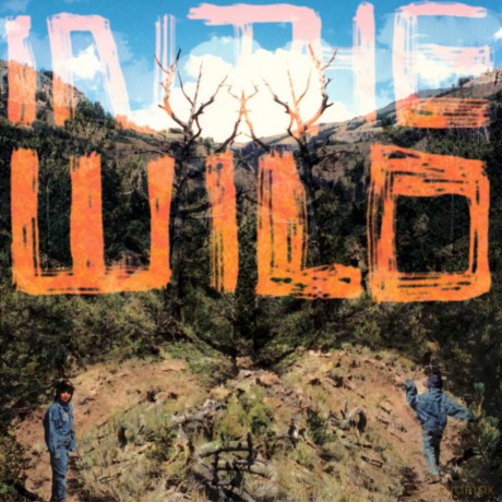 Faltydl: In the Wild [CD]