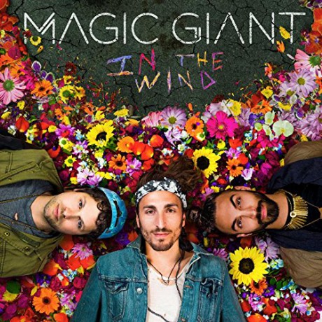 Magic Giant: In The Wind [CD]