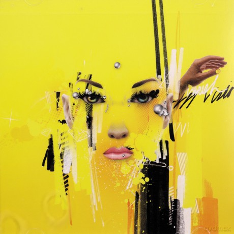 History Invades: In Vision Vanish Invisibl [CD]