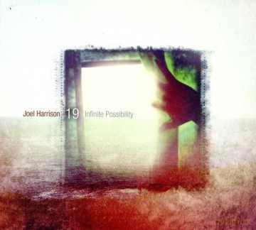 Joel Harrison: Infinite Possibility [CD]