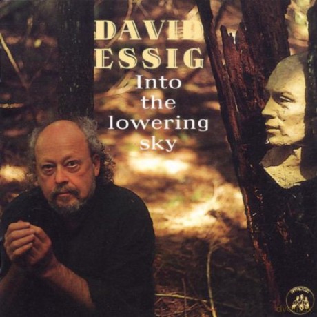David Essig: Into The Lowering Sky [CD]