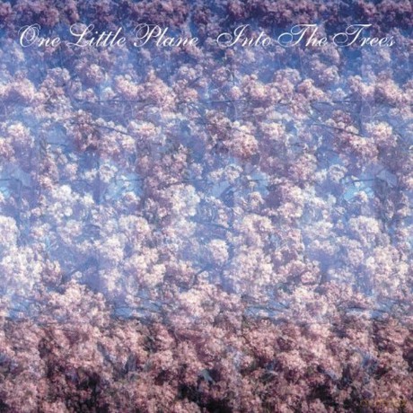 One Little Plane: Into The Trees [CD]