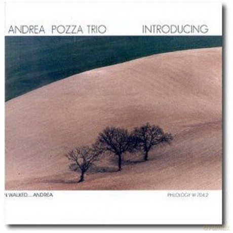 Andrea Pozzato Trio: Introducing [CD]