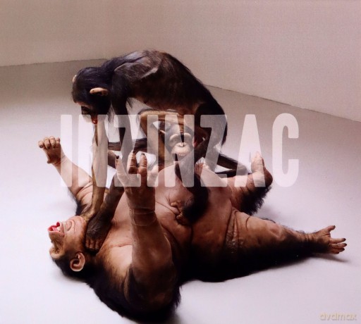 Inzinzac: Inzinzac [CD]
