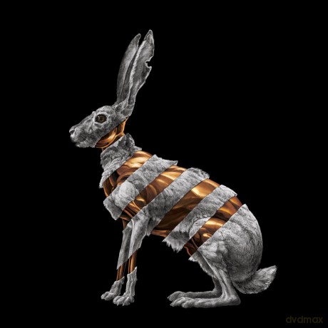 San Fermin: Jackrabbit [CD]