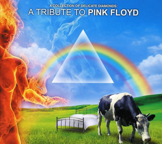 A Collection Of Delicate - Tribute To Pink Floyd (Digipack) [2CD]
