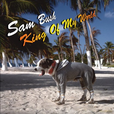 Sam Bush: King Of My World [CD]