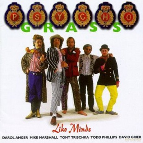 Psychograss: Like Minds [CD]