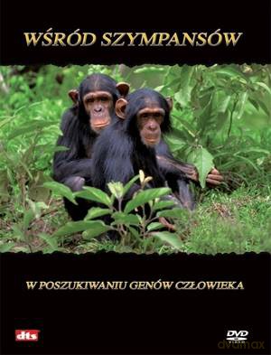 Imax - Wśród szympansów: W poszukiwaniu genów człowieka [DVD]