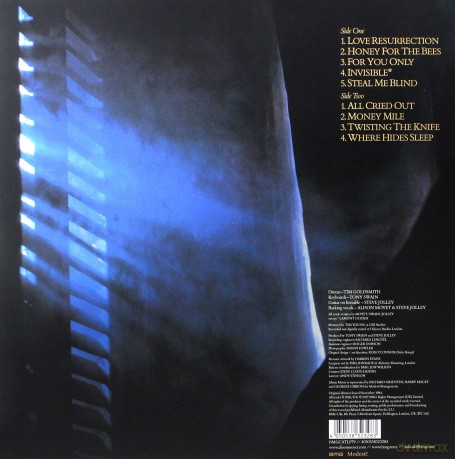 Alison Moyet: Alf [Winyl]