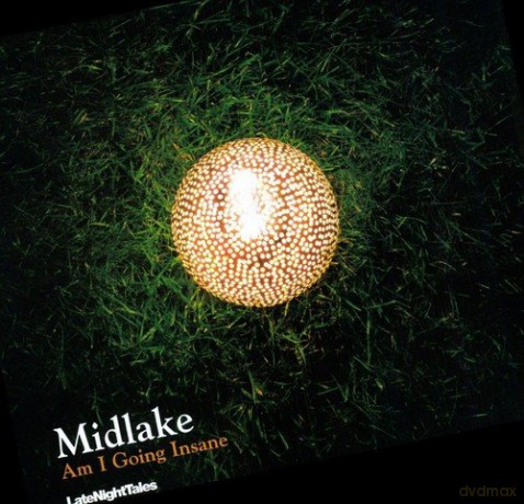 Midlake: Am I Going Insane [Winyl]