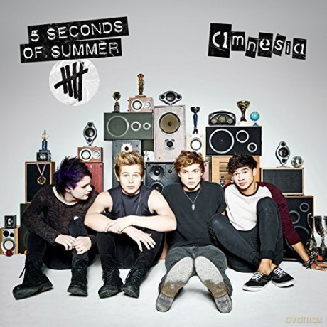 5 Seconds Of Summer: Amnesia [Winyl]