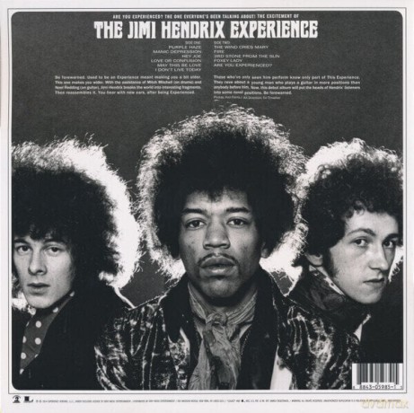 Jimi Hendrix: Are You Experienced [Winyl]