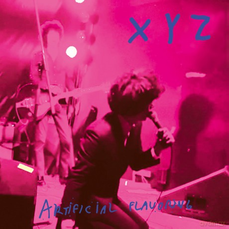 Xyz: Artificial Flavoring [Winyl]