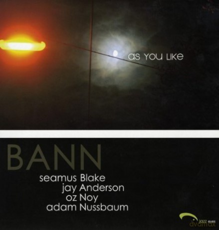 Bann: As You Like [Winyl]