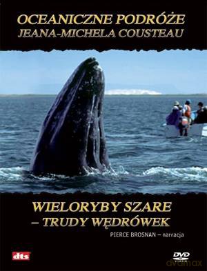 Imax - Oceaniczne podróże: Wieloryby szare: trudy wędrówek [DVD]