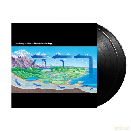 Matthew Good Band: Audio Of Being [Winyl]