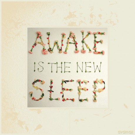 Ben Lee: Awake Is The New'sleep [2xWinyl]