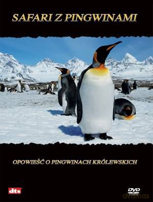 Imax - Safari z pingwinami: opowieść o pingwinach królewskich [DVD]