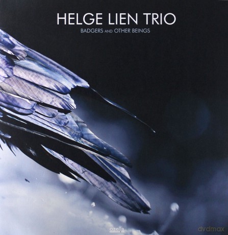 Helge Lien Trio: Badgers and Other Beings [Winyl]