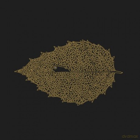 Dear John Letter: Between Leaves/forestal [Winyl]