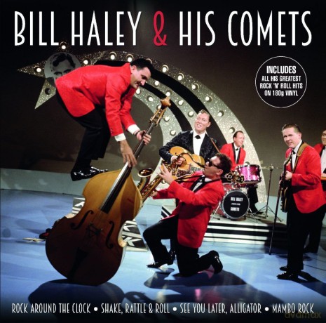 Bill Haley: Bill Haley And His Comets [Winyl]