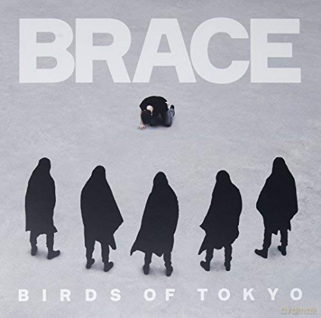 Birds of Tokyo: Brace (Coloured) [Winyl]
