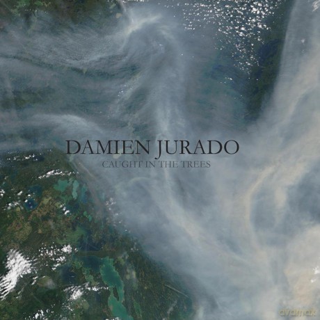 Damien Jurado: Caught In The Tree [Winyl]