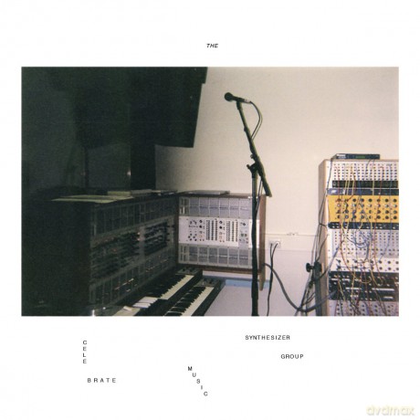Celebrate Music Synthesizer Group: Celebrate Music'synthesizer Group [2xWinyl]