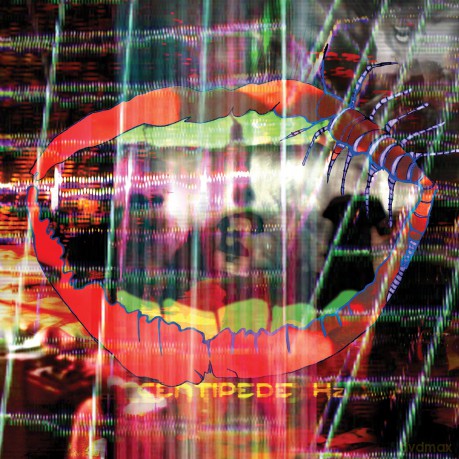 Animal Collective: Centipede Hz [2xWinyl]