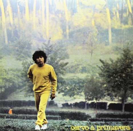 Riccardo Cocciante: Cervo A Primavera [Winyl]