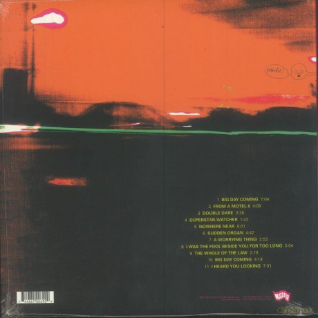 Yo La Tengo: Painful [Winyl]