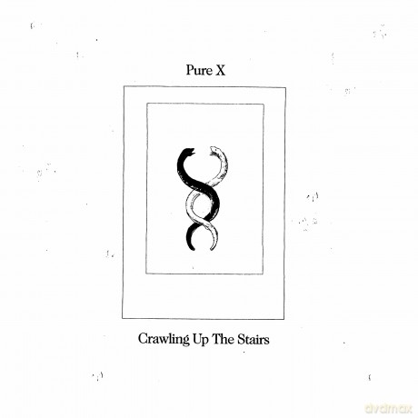 Pure X: Crawling Up the'stairs [Winyl]