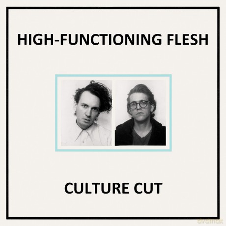 High-Functioning Flesh: Culture Cut [Winyl]