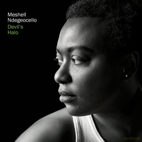 Meshell Ndegeocello: Devil's Halo [Winyl]