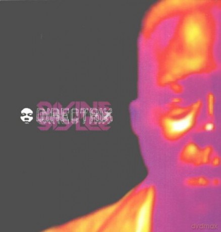 Divine Styler: Directrix [2xWinyl]