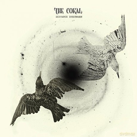 The Coral: Distance Inbetween [Winyl]
