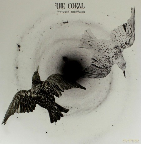 The Coral: Distance Inbetween [Winyl]